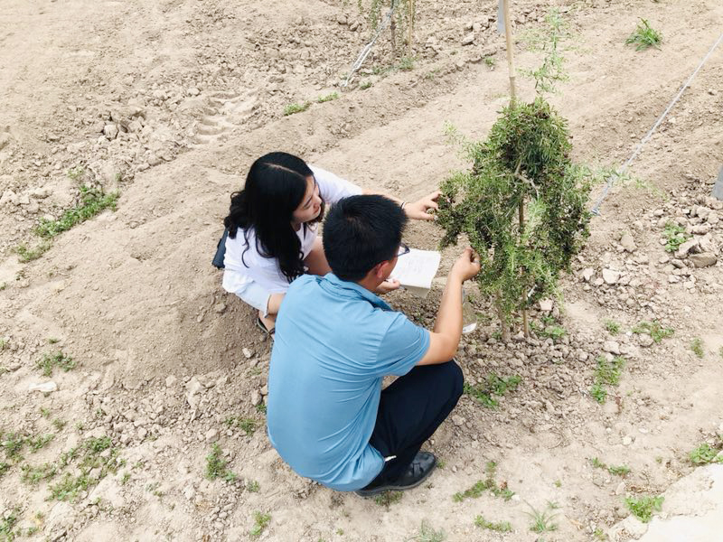 0-5了解枸杞研究所枸杞品种研发.jpg 0-5了解枸杞研究所枸杞品种研发.jpg