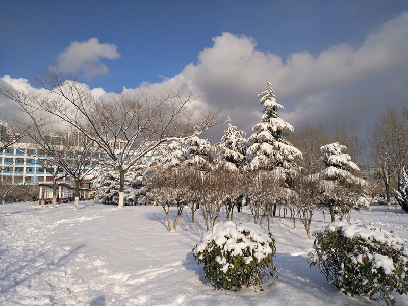 雪景 (13).jpg 雪景 (13).jpg